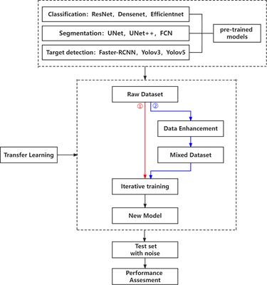 Noise-robustness test for ultrasound breast nodule neural network models as medical devices